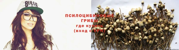 соль курить ск Апатиты