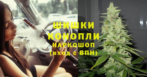 стафф Медвежьегорск