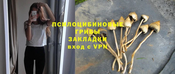 твердый Михайловка