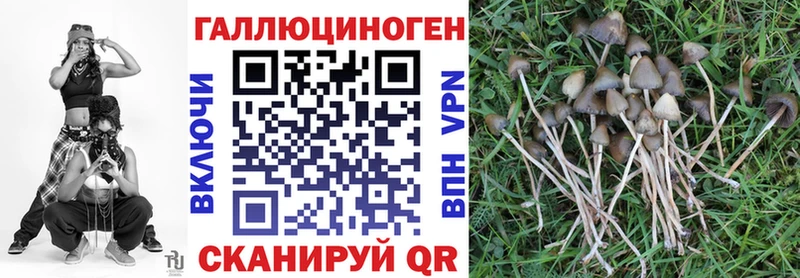 Псилоцибиновые грибы ЛСД купить наркотик МЕГА Сурск