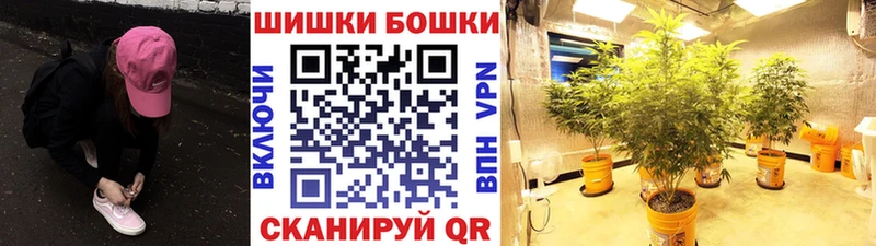 Бошки Шишки SATIVA & INDICA  hydra   Сурск  наркотики 